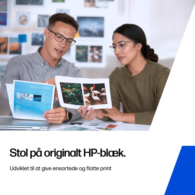 HP 305XL - High Yield - pigmented black - original - ink cartridge