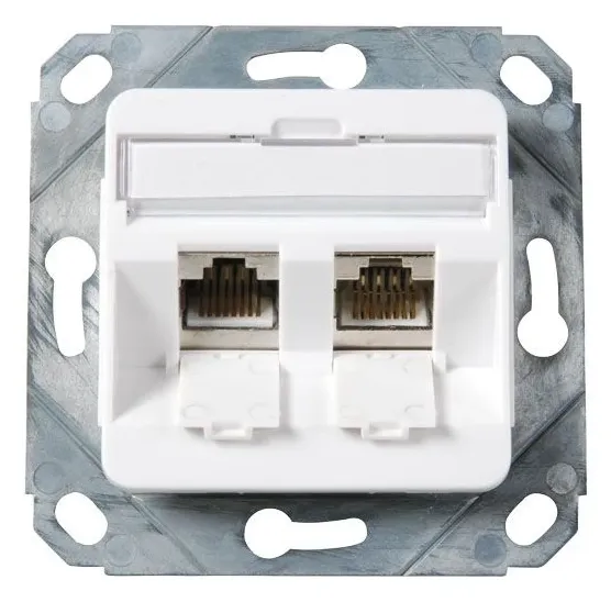 Dataudtag for 2xKeystone modular jack