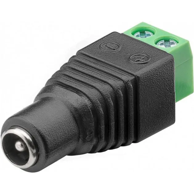 Adattatore Terminal Block 2 pin a DC Femmina (5.50 x 2.10 mm)