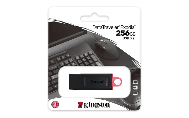 Kingston DataTraveler Exodia DTX/256GB Flash Drive USB 3.2 Gen 1 - with Protective Cap and Keyri...