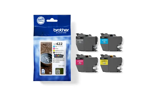 LC422 VALUE BP INK & DR SEC TAG (BH19MB)