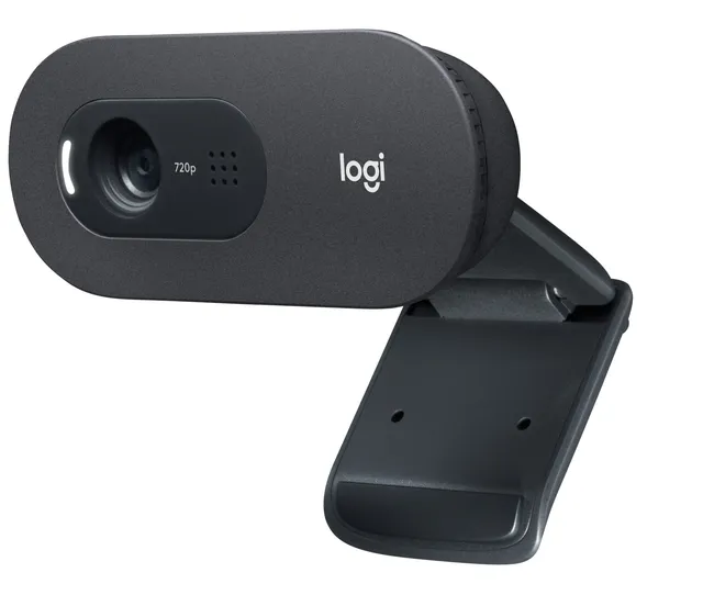 Logitech C505 HD webcam 1280 x 720 pixel USB Sort