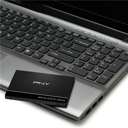 PNY Solid state-drev CS900 250GB 2.5 SATA-600