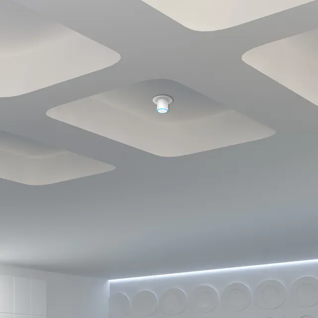Ubiquiti Wireless Dual-Band Gigabit Access Point, UAP-FLEXHD